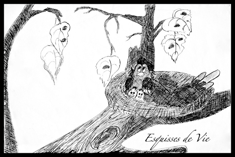 Histoire d'oiseaux