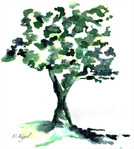Quand la vie est un arbre -- 24/03/11