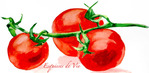 Grappe de tomates -- 24/02/11