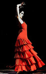 Flamenco -- 29/03/12
